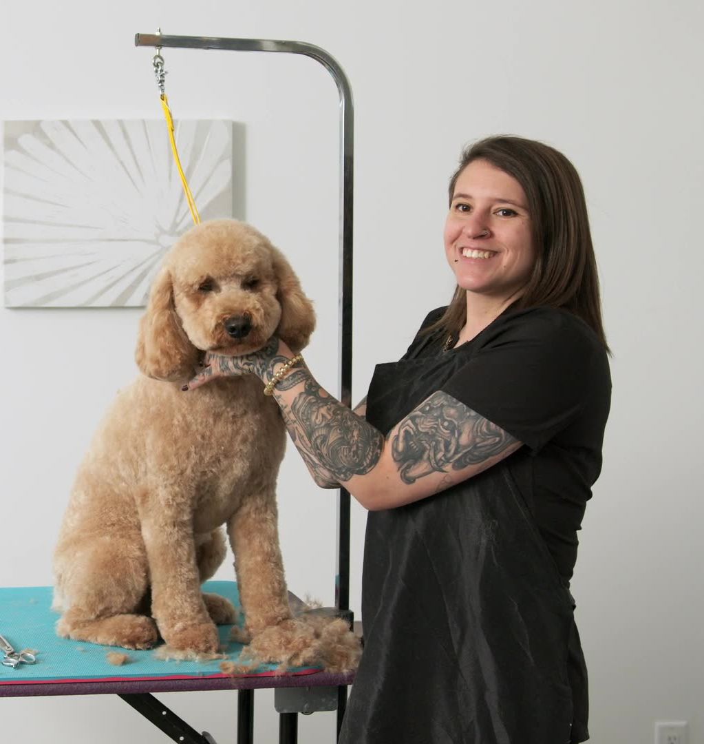 Pet groomer with dog
